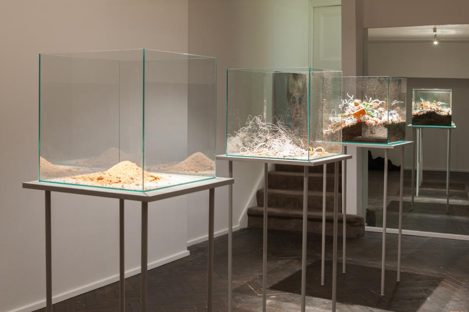 Display of art installations featuring various materials, highlighting biodegradable plastics and ocean conservation themes.