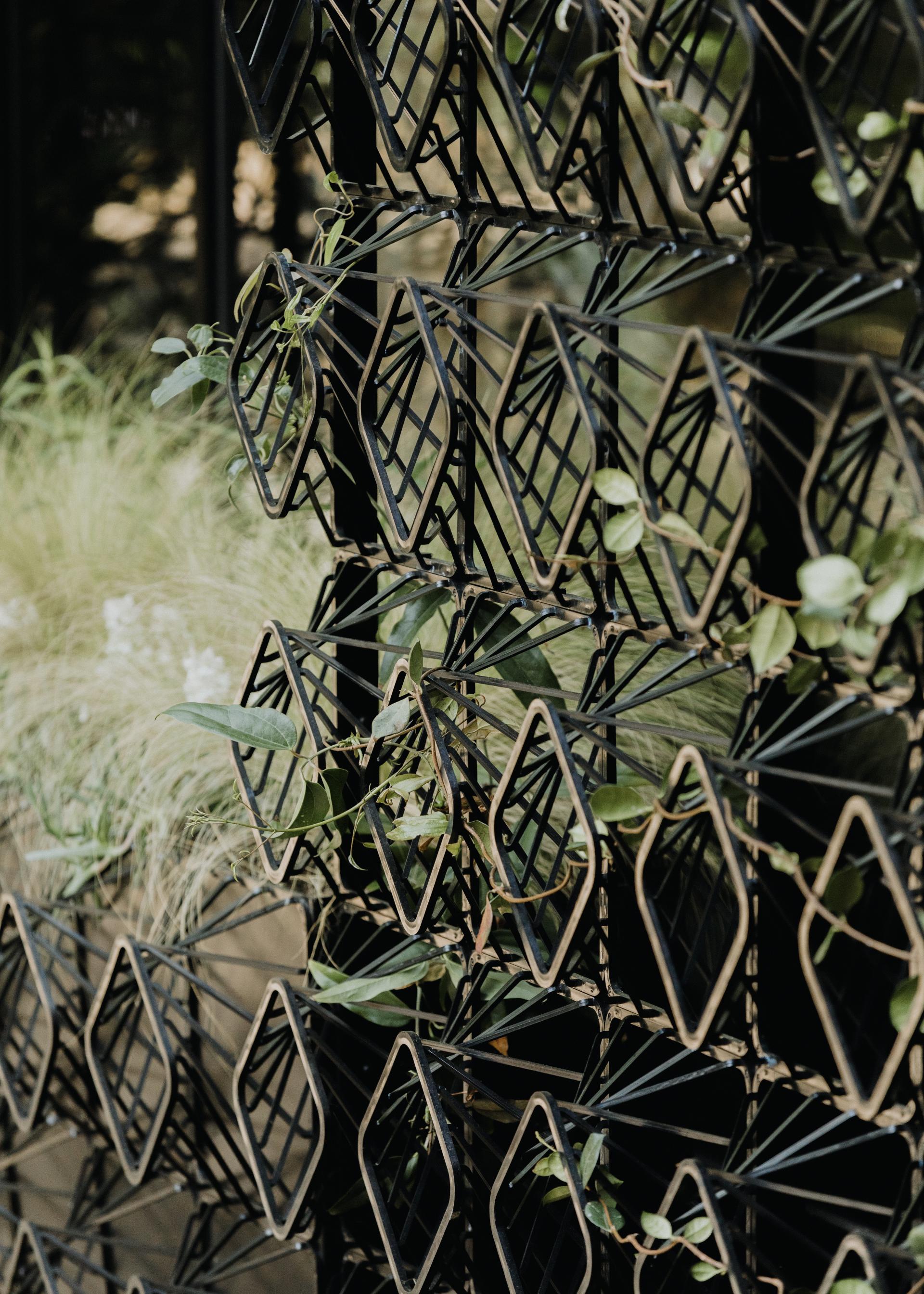 Sculptural black metal wall feature integrated with greenery, showcasing Giles Miller Studio's innovative design in residential architecture.