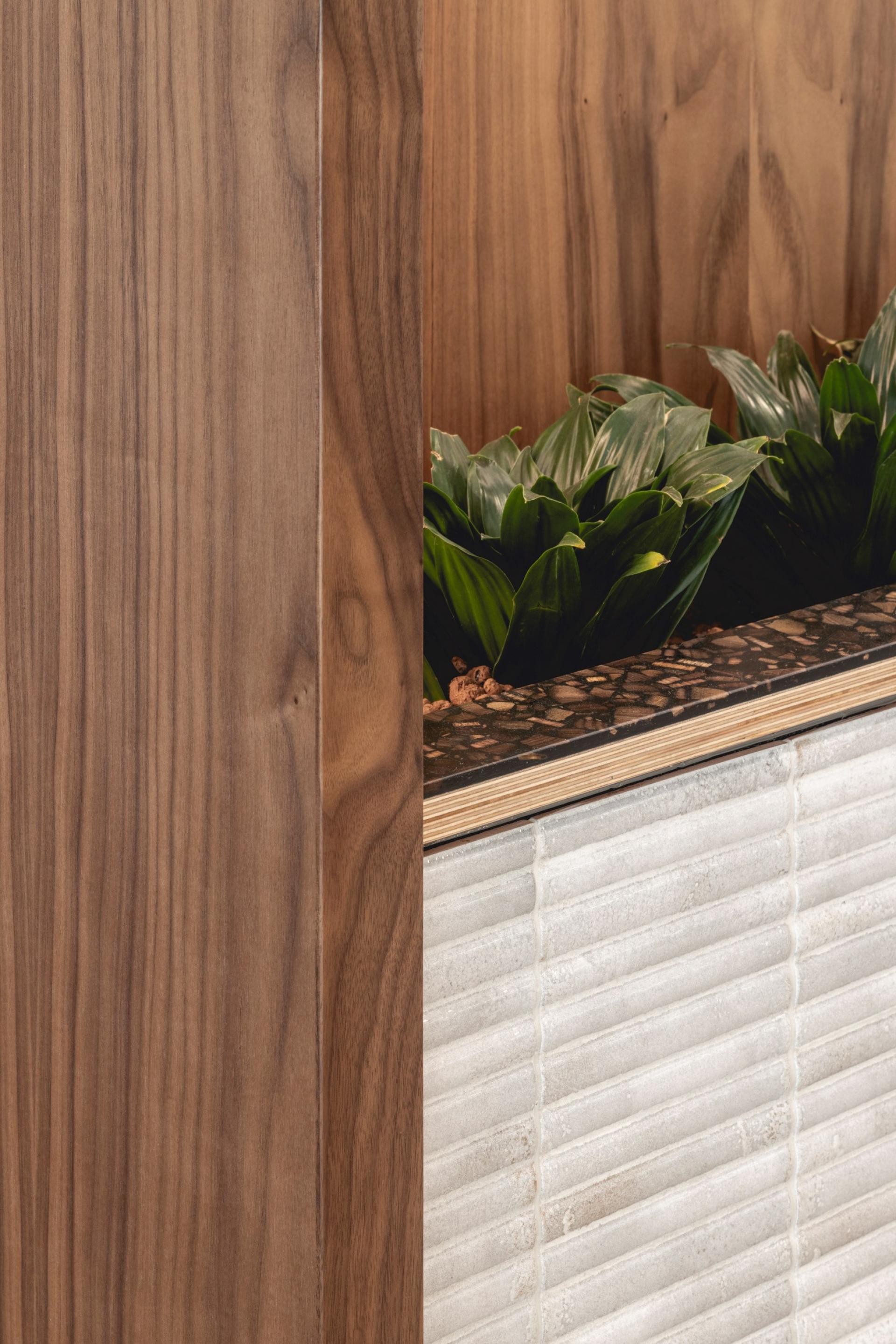 Wood and stone texture blending with green plants, showcasing Art Deco design elements in Alexion’s workspace by Ekho Studio.