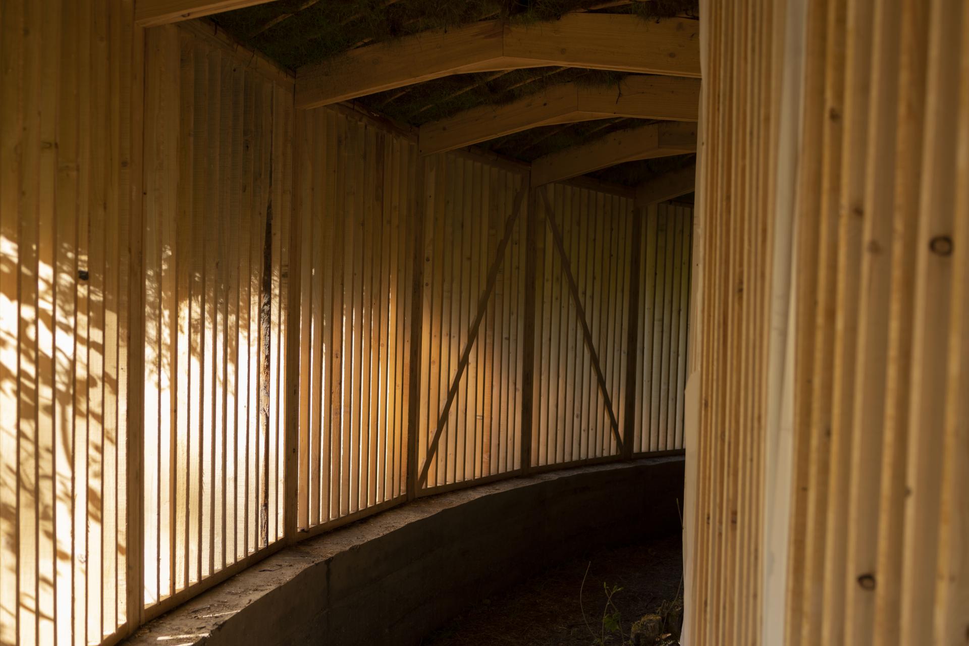 Natural wooden walls create a serene passage in Studio Morison's installation, highlighting themes of solitude and healing.