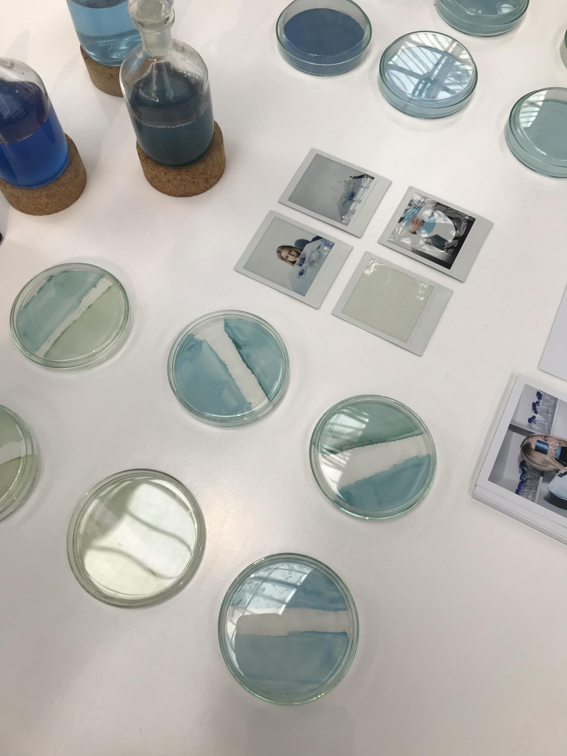 Petri dishes with gradient blue tones and photos, showcasing innovative color insights from the 2023 design event.
