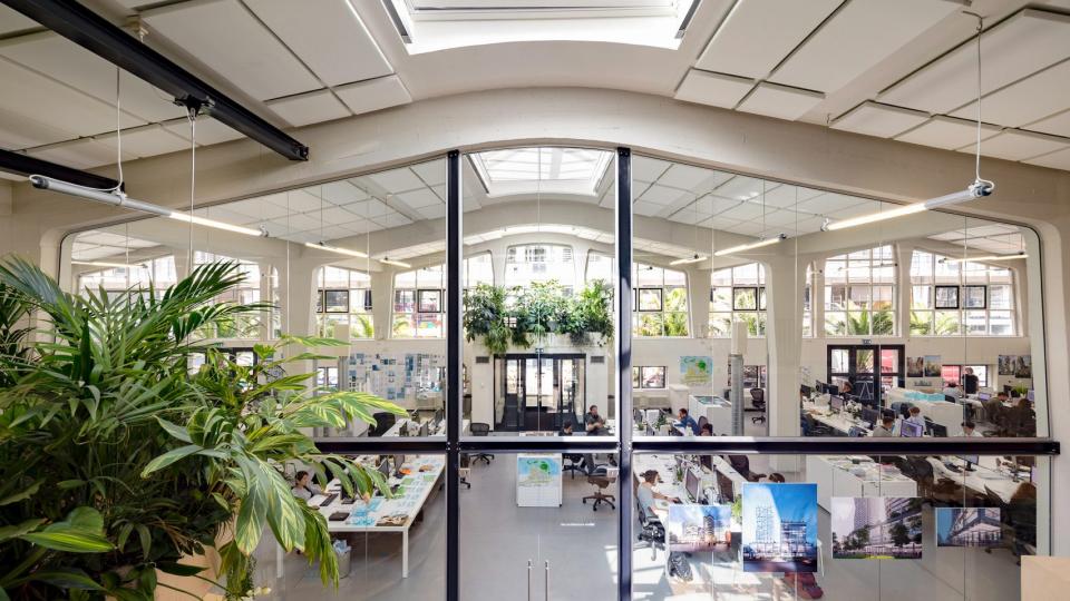 Bright architectural studio filled with plants, showcasing architects collaborating over design plans and drawings.