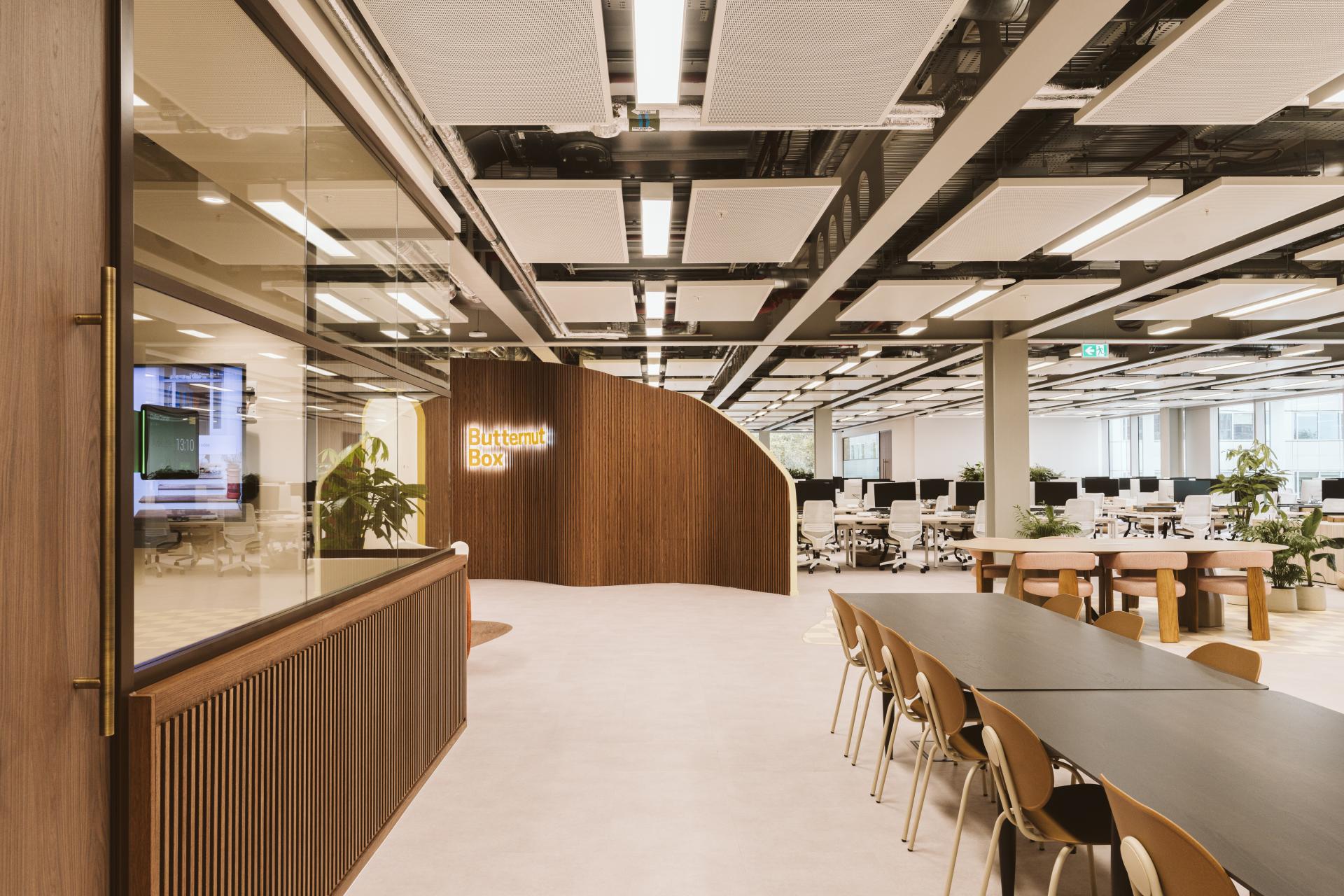Modern office interior design of Butternut Box workspace featuring workstations, communal table, and greenery promoting collaboration and comfort.