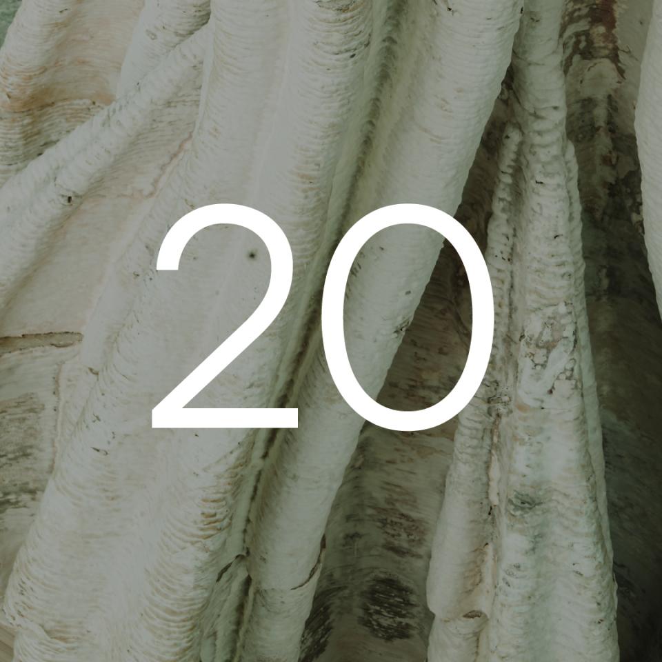 Tree bark textures creatively incorporated in a design element for Blast Studio's eco-friendly project in London.