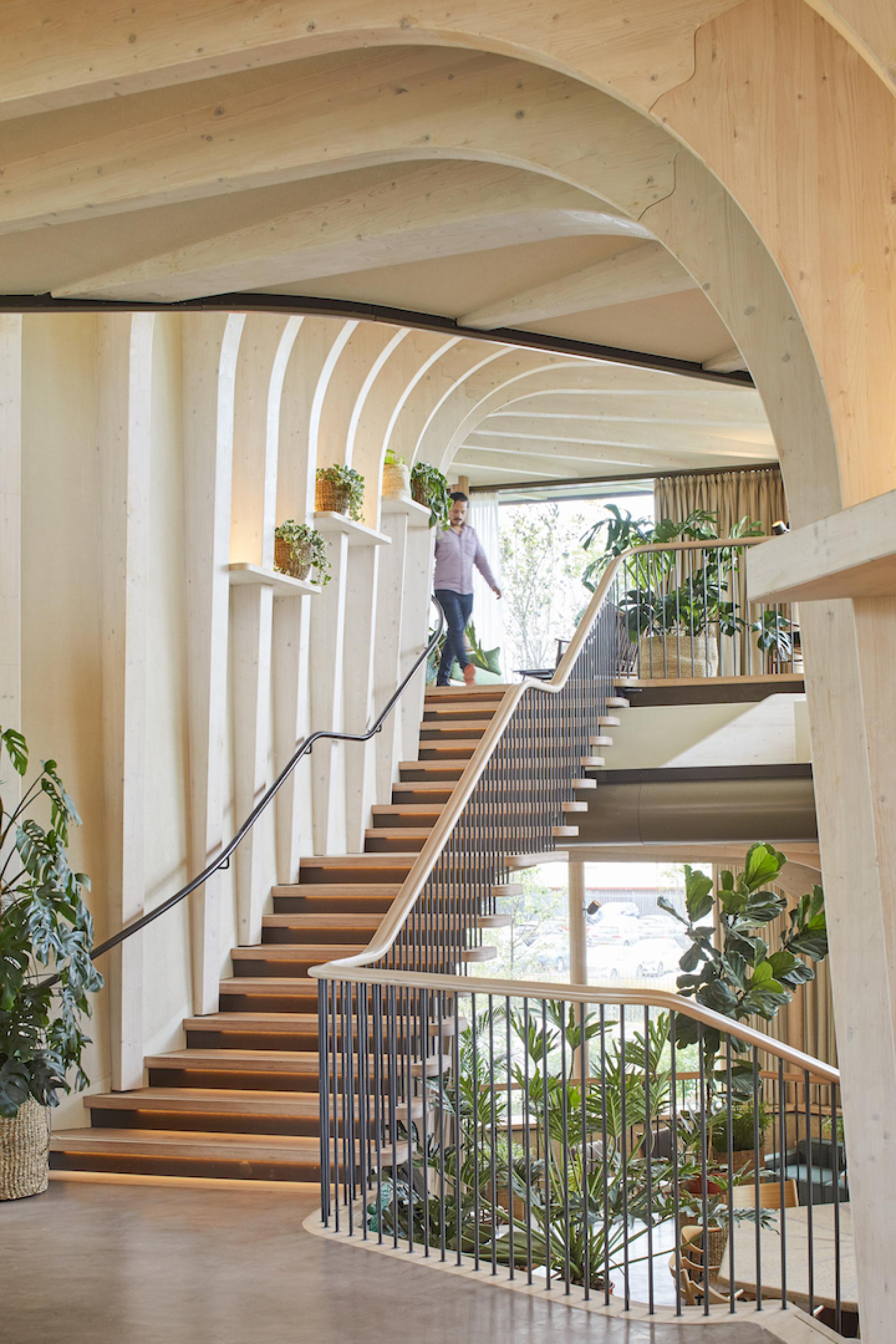 Modern interior of Maggie's Leeds featuring a wooden staircase, natural light, and greenery for a calming, supportive atmosphere.