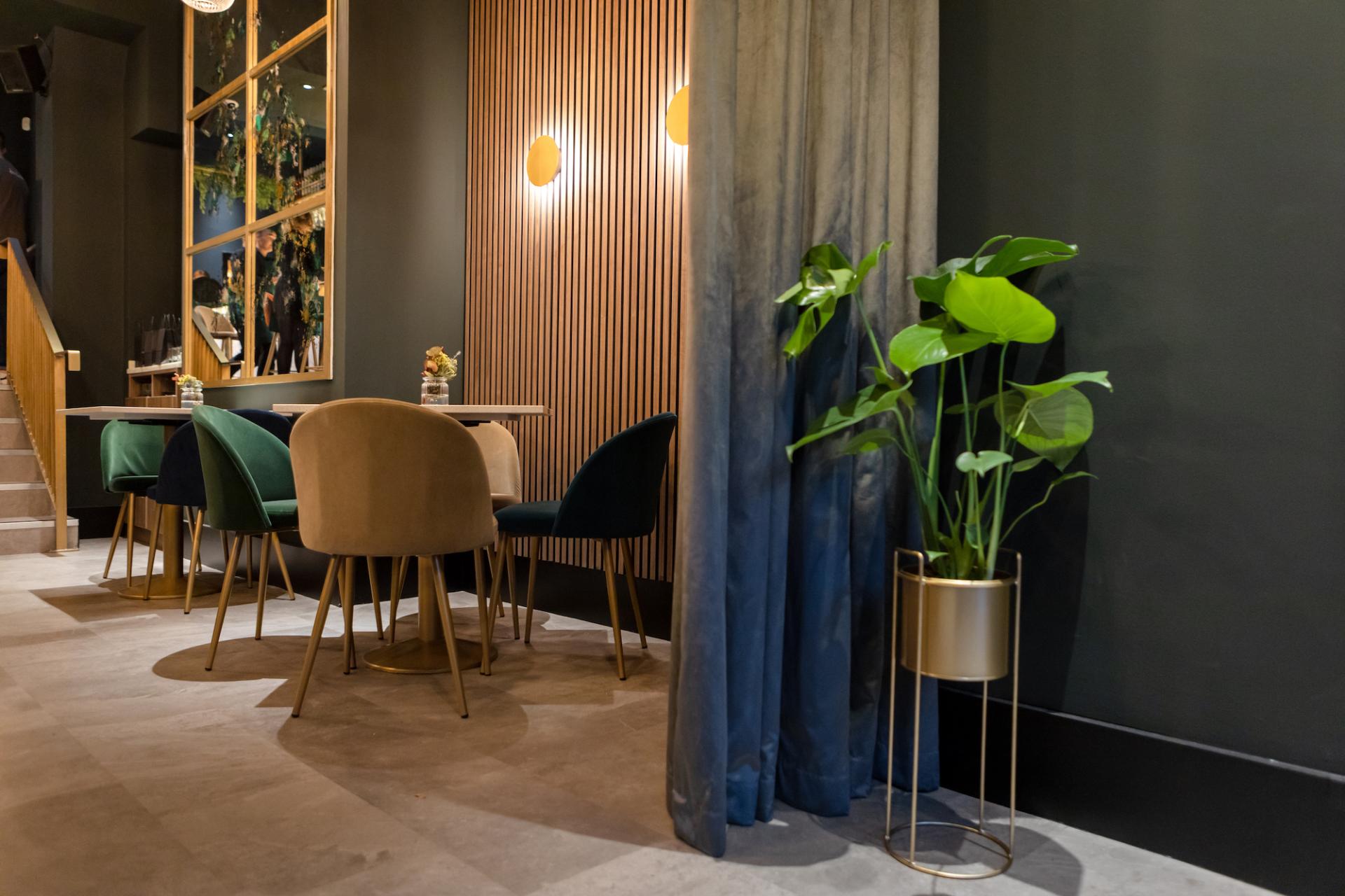 Stylish interior of Eatock Design & Build showcasing modern chairs, decorative lighting, and a vibrant indoor plant.