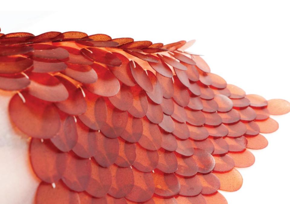 Carolyn Raff on biomaterials, sustainable manufacturing and baking sequins.