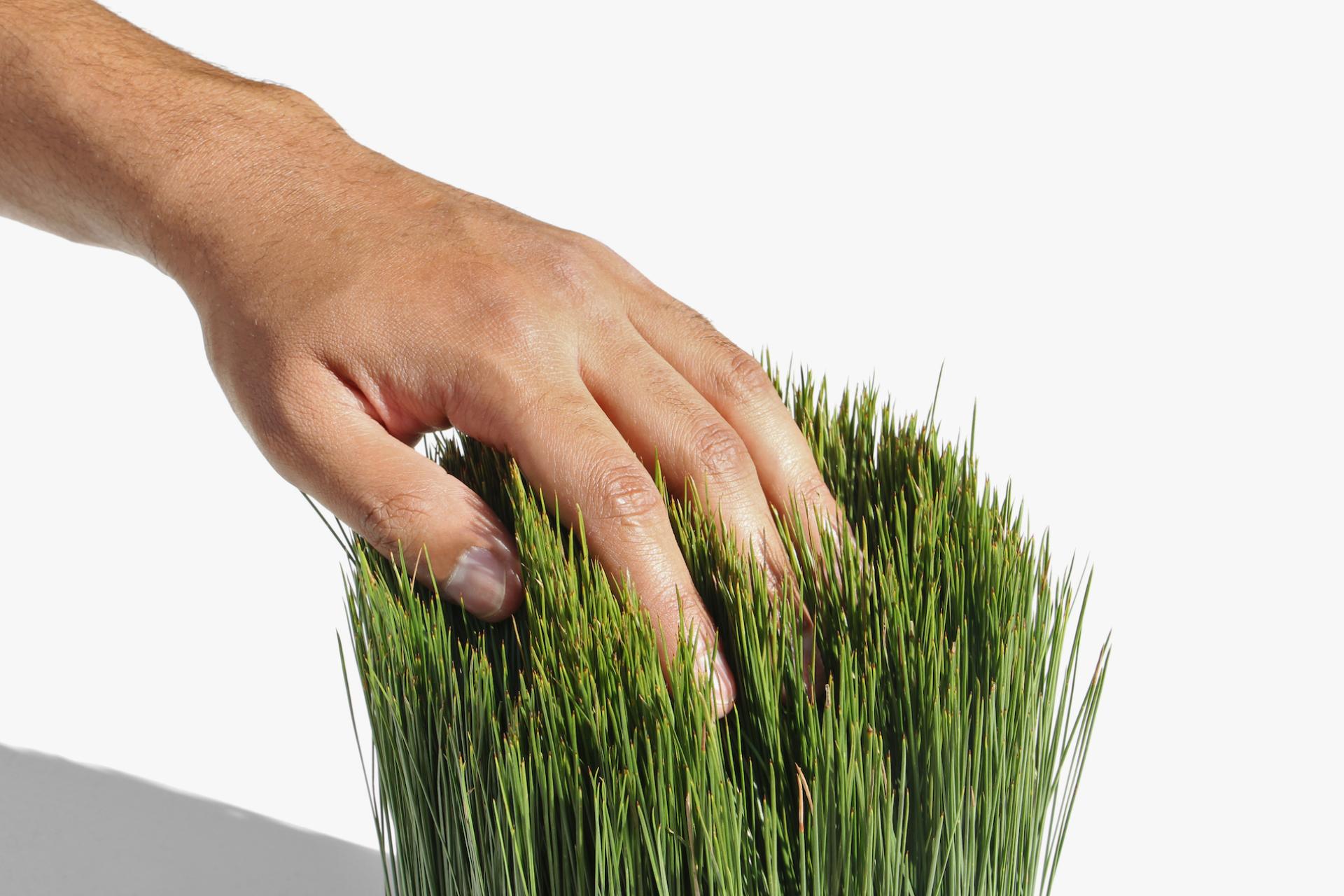 A hand gently touches a bundle of vibrant green grass, symbolizing nature as a vessel for life and growth.