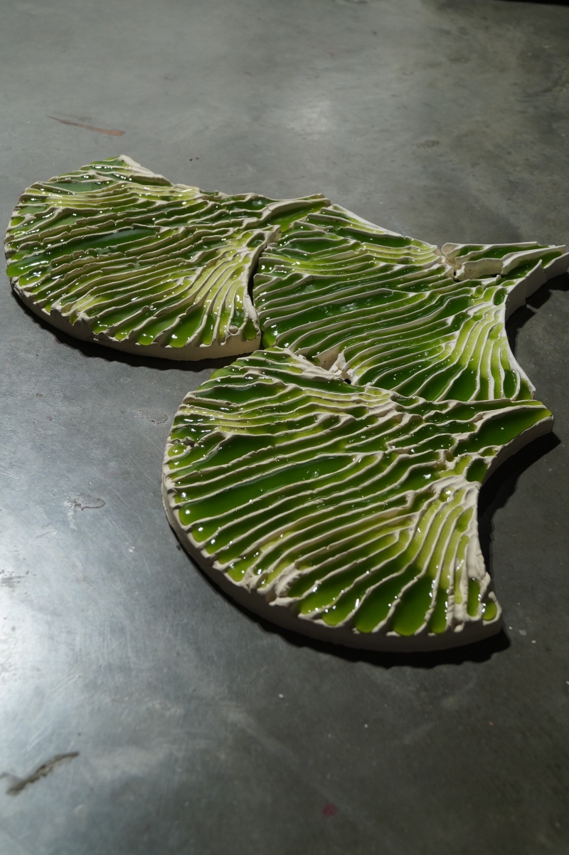 The Indus Project: Innovative tile-based bioremediation. | Material Source