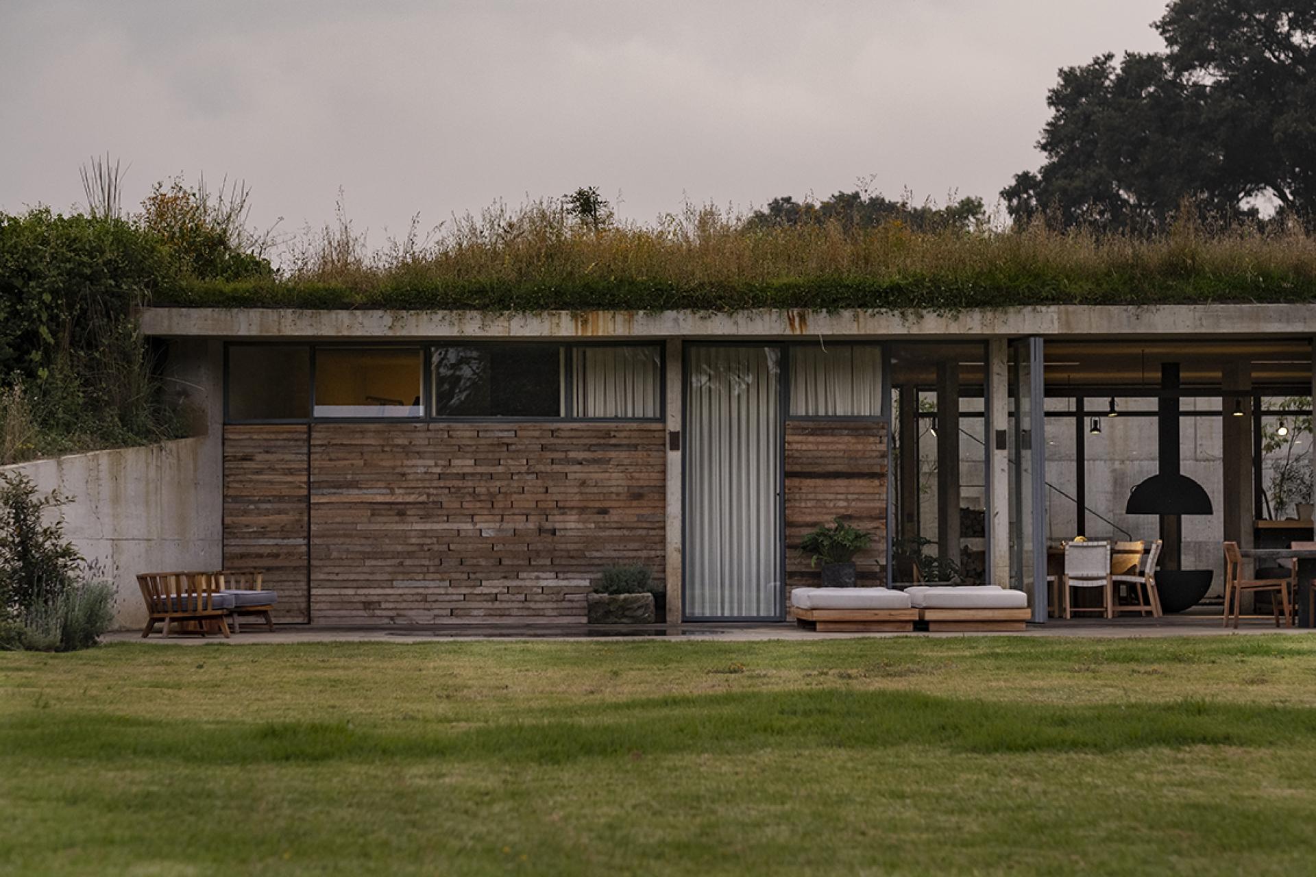 Contemporary Avocado House features a green roof and wooden facade, nestled in the serene Mexican forest landscape.