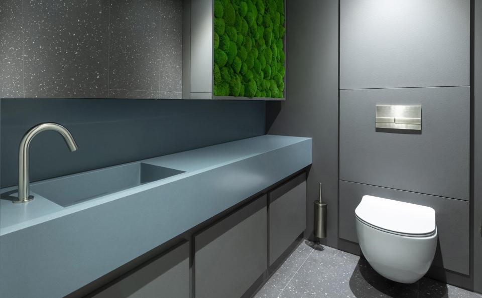 Modern commercial washroom featuring sleek design elements, a minimalist sink, and a green moss wall for wellness.