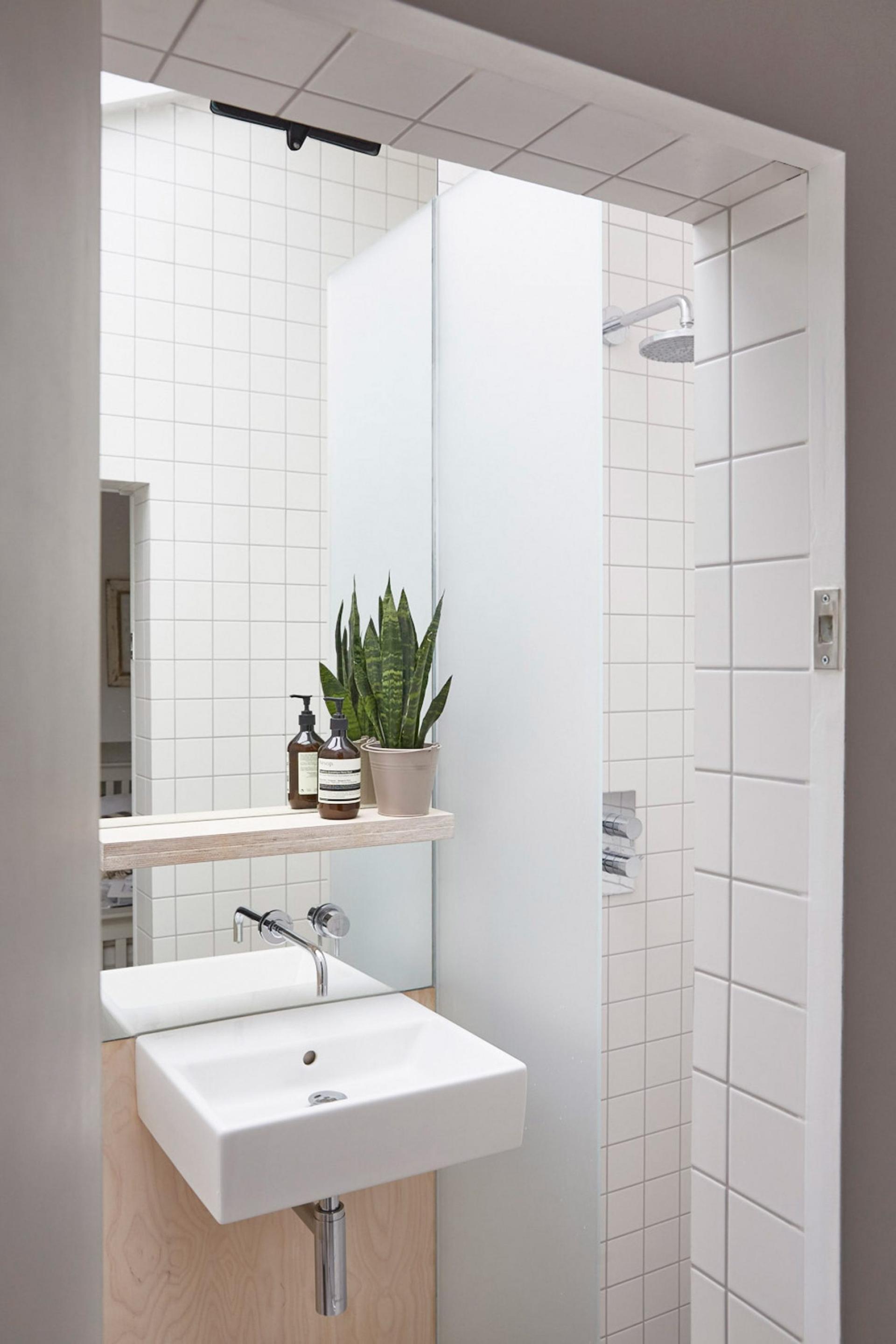 Modern bathroom interior featuring a sleek washbasin, minimalist shelving, and potted plant, highlighting calm design elements.