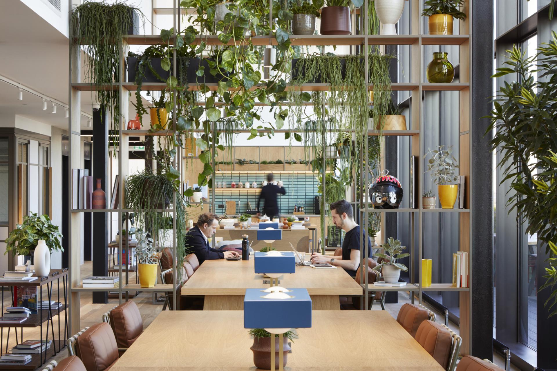 Modern office workspace featuring greenery, collaborative desks, and individuals engaged in remote work, highlighting the rise of flexible work environments.