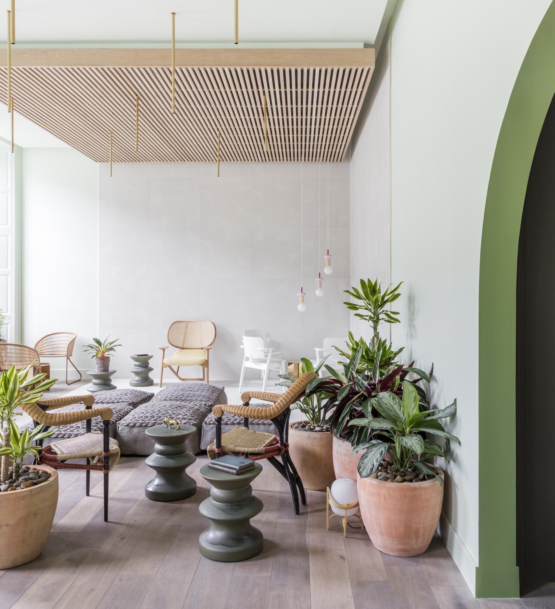 Stylish lounge area at Eden Locke Hotel, featuring Smoked Oak flooring, modern furniture, and lush indoor plants.