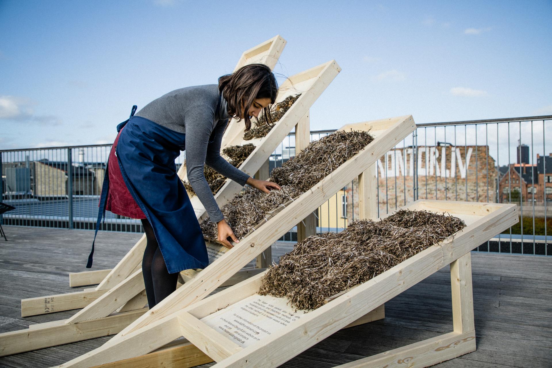 Kathryn Larsen engages with seaweed installation on wooden structures, exploring sustainable architecture in an urban setting.