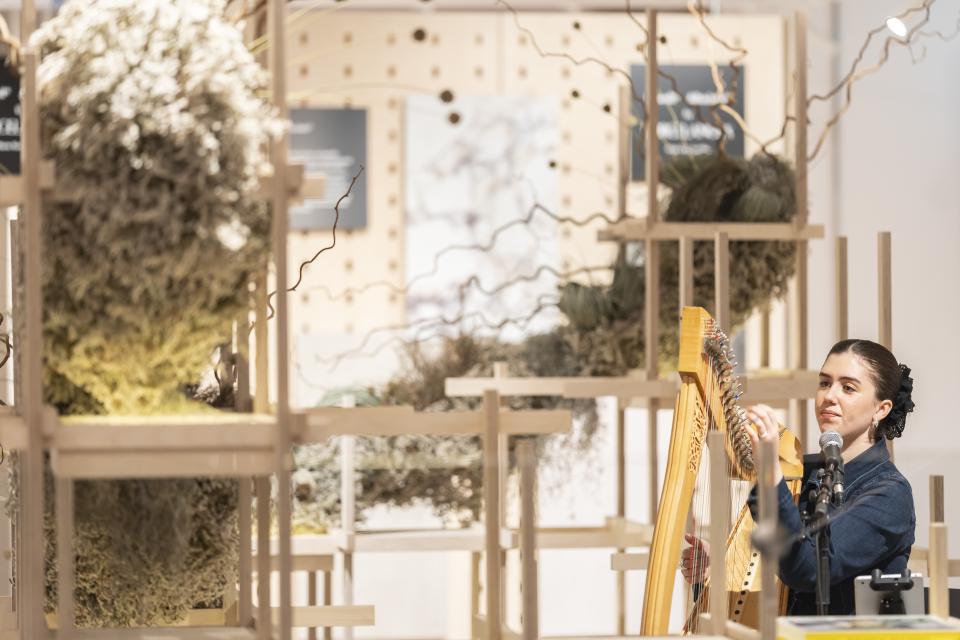 Musician performing on a harp amidst an artistic installation at Material Source Studio's anniversary celebration in Manchester.