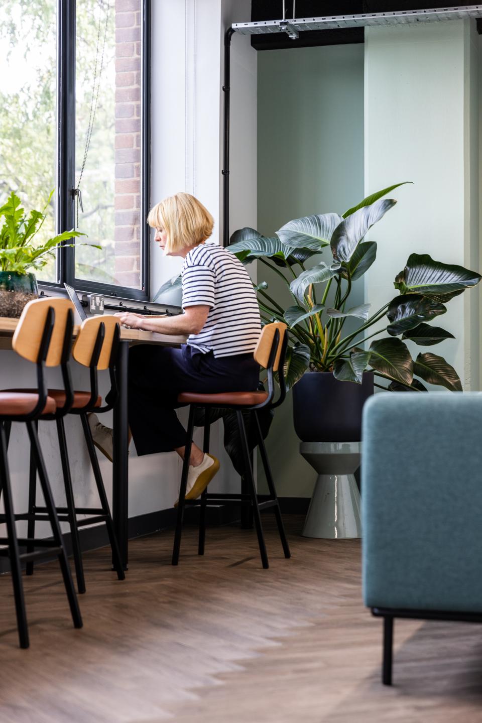 A woman works on a laptop at a stylish co-working space with vibrant plants and modern decor.
