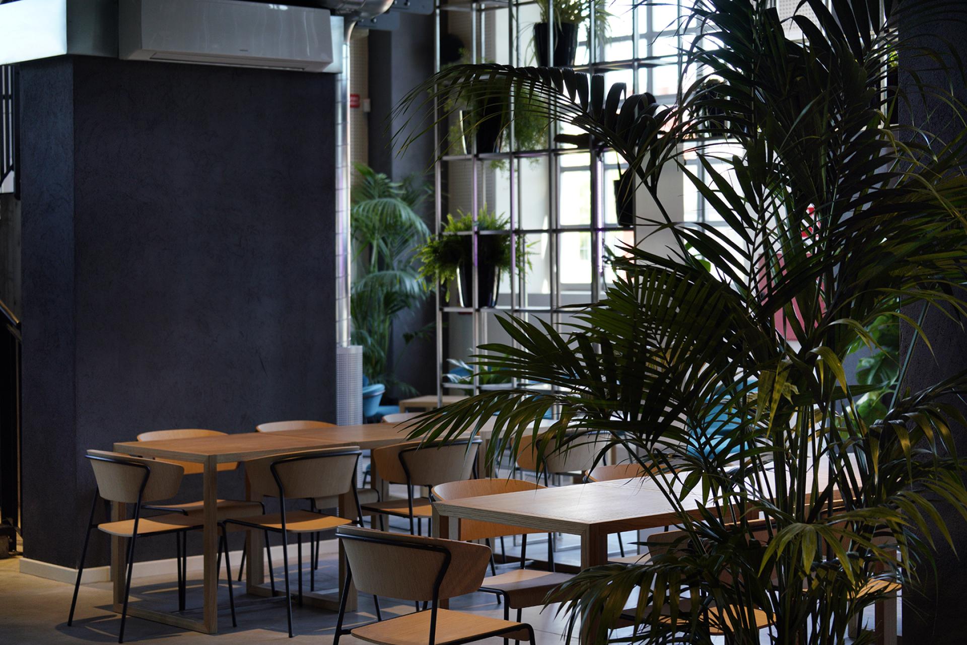 Modern dining space with wooden tables and greenery, highlighting the transformation of Bergamo's former power plant into a cultural hub.
