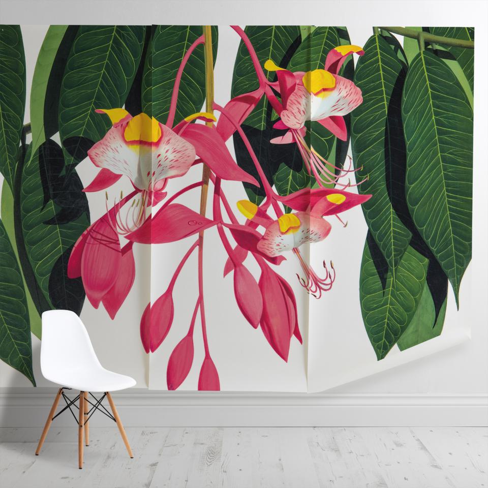 Vibrant pink and yellow flowers with lush green leaves featured in a stylish interior design setting.