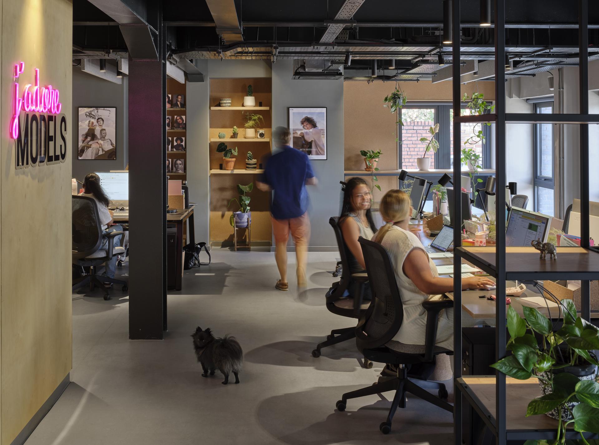 Modern office space for J’adore Models featuring vibrant decor, busy employees, and greenery, designed by Workshop Design Studio.