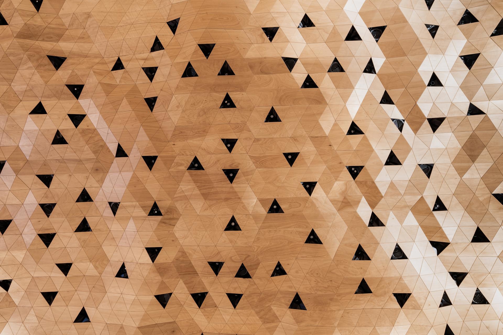 Wooden triangular panels create a textured surface on the walls of the Assembly Hall in the United Nations Palace, Geneva.