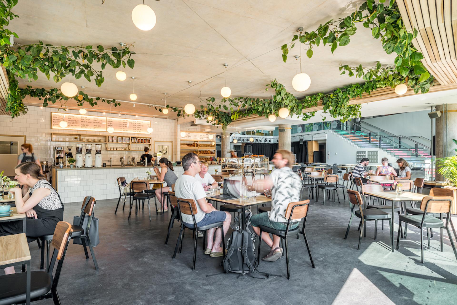 Bright and airy café interior at Bristol Loaf, showcasing customers enjoying pastries and coffee with lush greenery.