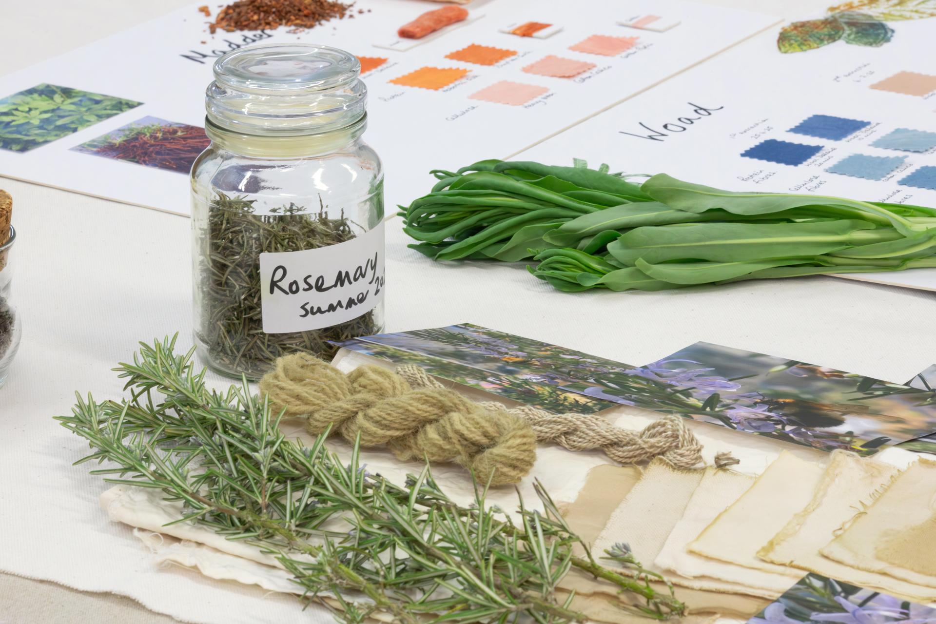 From regenerative tartans to silk-based architectural biobinders. Our 2026 graduate highlights.
