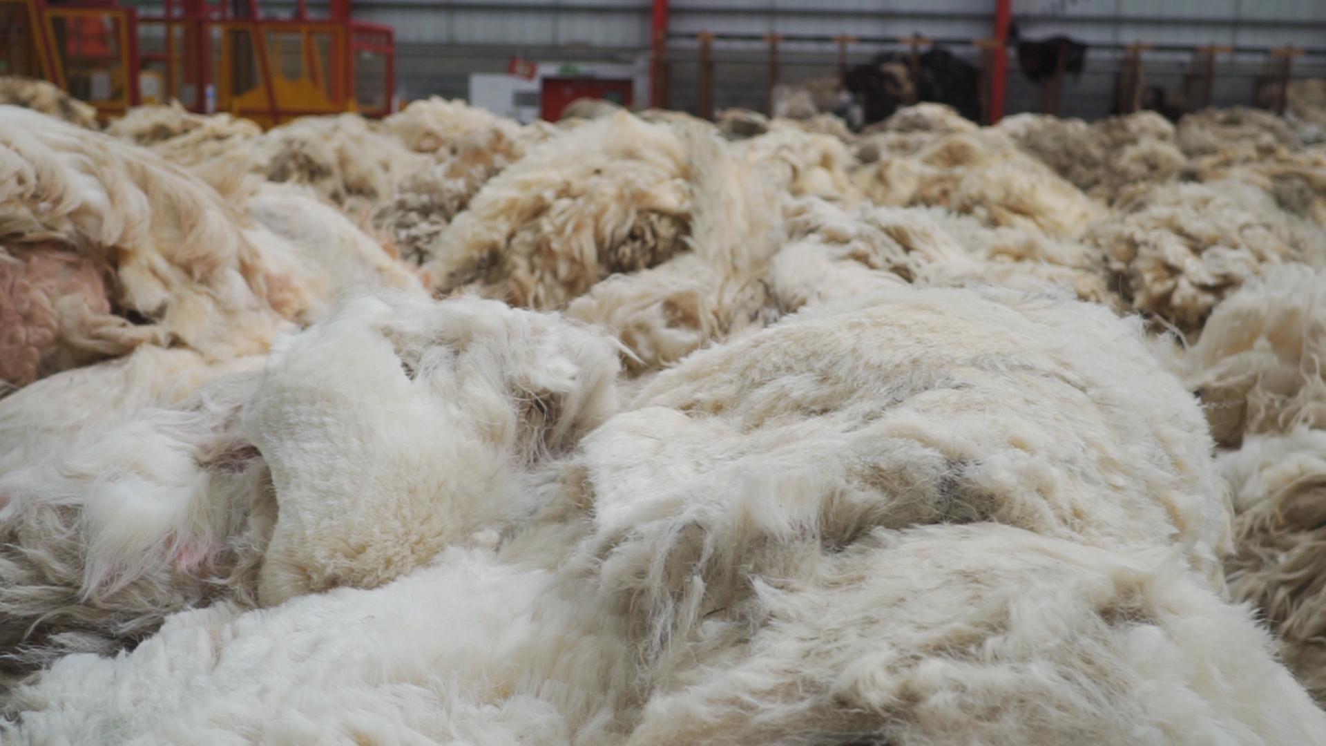 Piles of British sheep wool showcase the raw material vital to the wool production journey at Yorkshire Sculpture Park.