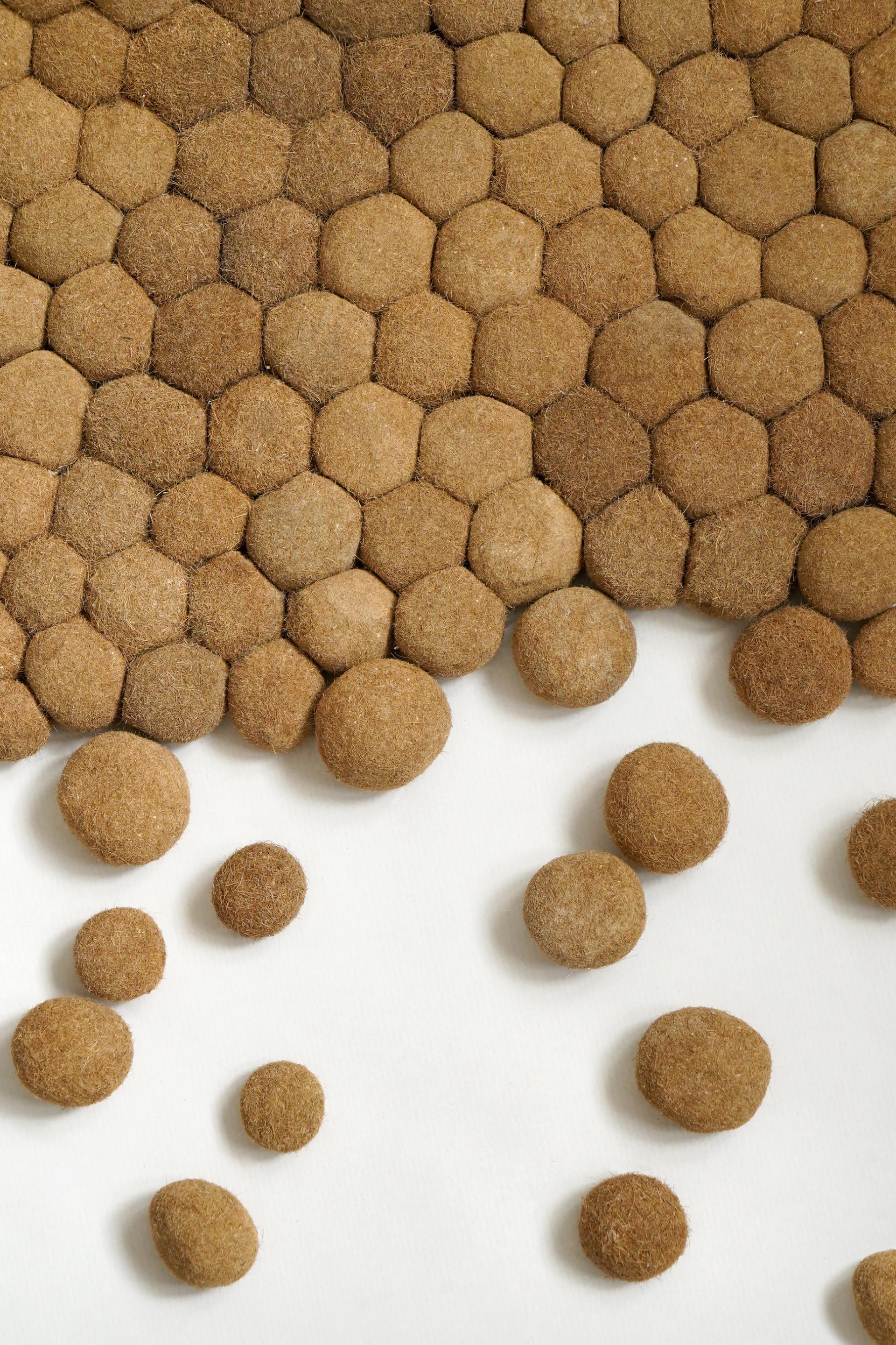 Textured natural materials shaped into hexagons and circles, representing Studiograma's repurposing of Posidonia seagrass.