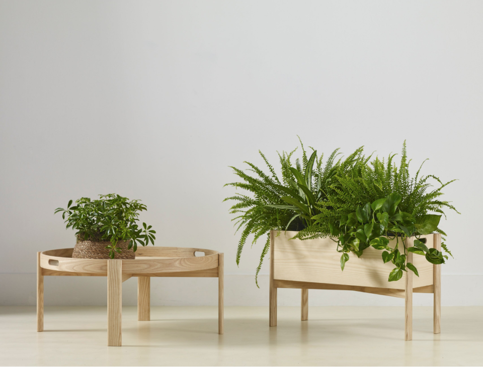 Stylish wooden planters featuring various lush greenery, part of the Ori Collection by Another Country and Ekkist.