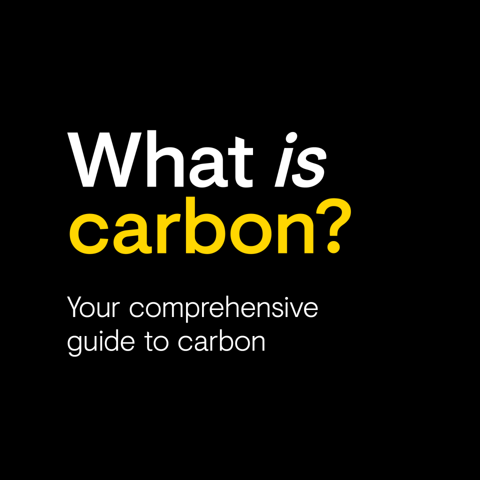 Carbon-12 Glossary: Your comprehensive guide to carbon.