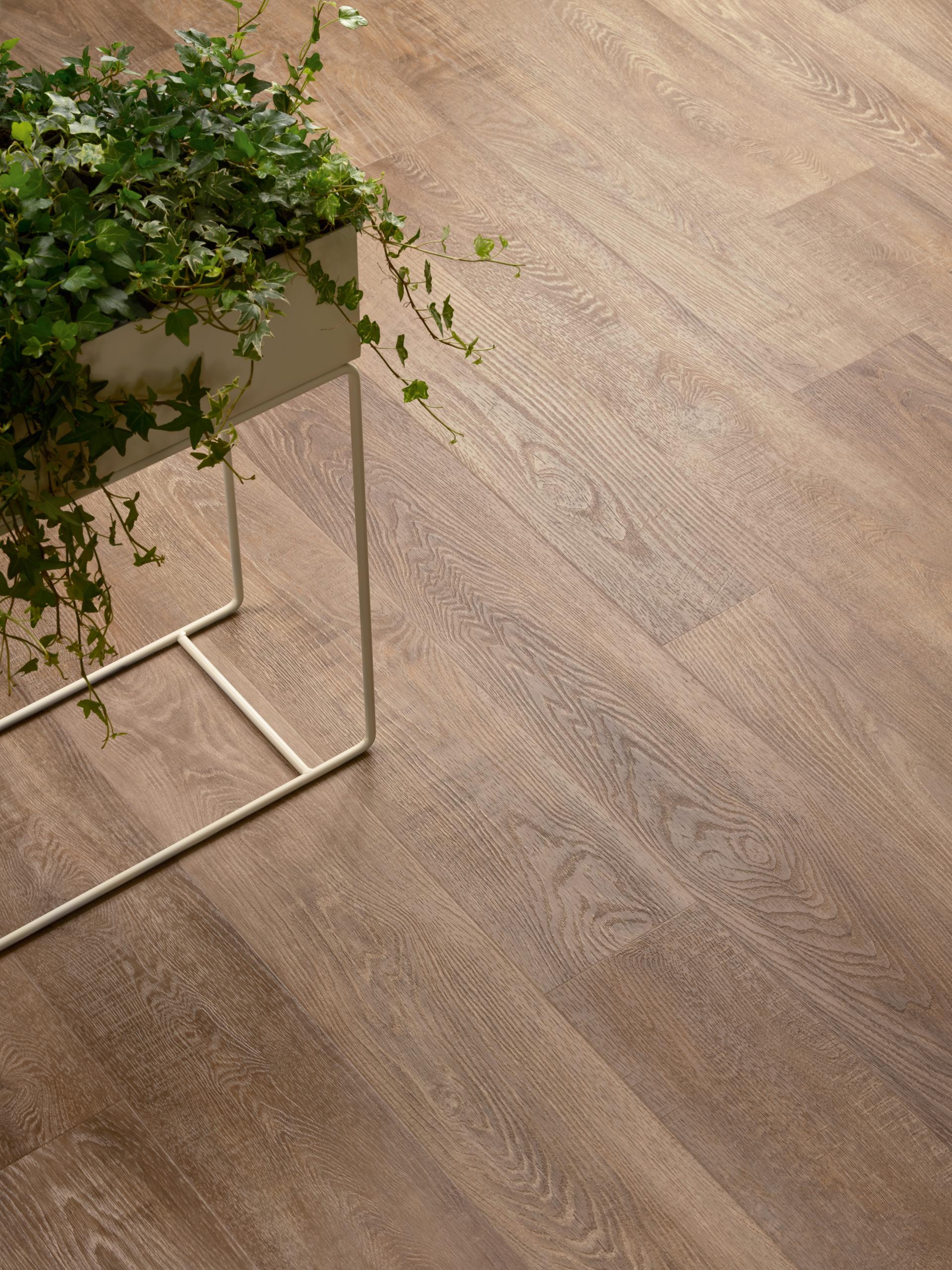 Luxury vinyl tile flooring from Amtico's Spacia collection, complemented by a potted plant on a modern stand.