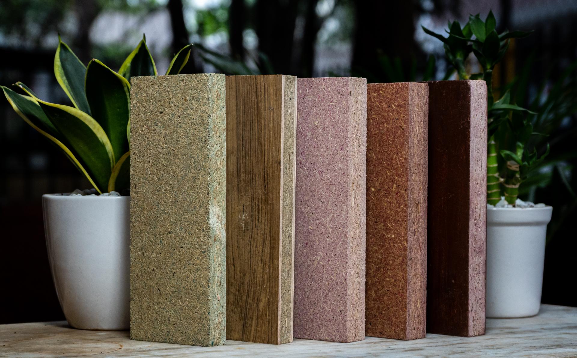 Sustainable biomaterial samples displayed next to plants, showcasing low carbon and waste-based product innovation for 2025.