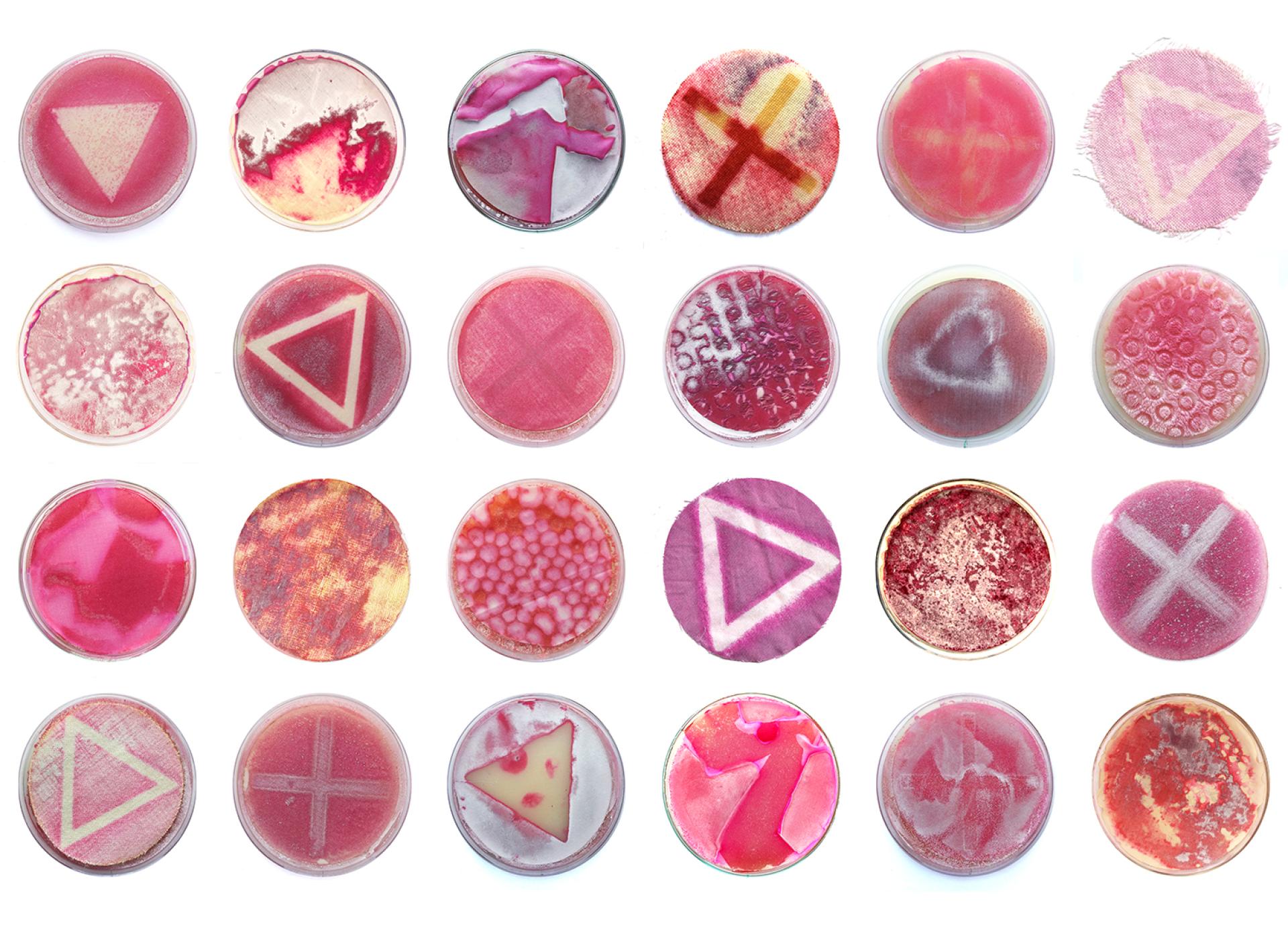 Top 23 biomaterial designers to watch in 2023.