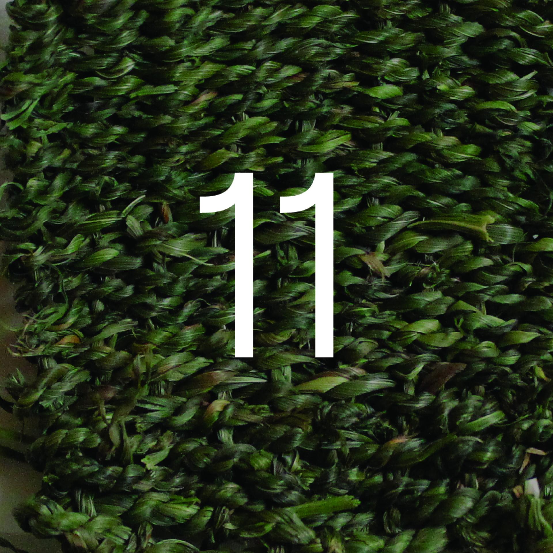 24 bio and by-product based materials for 2024.