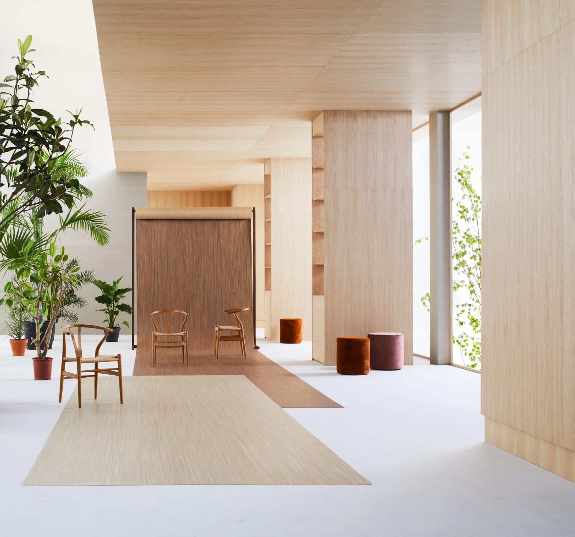 Modern interior featuring Forbo’s Marmoleum Linear Collection, natural wood elements, plants, and minimalist furniture for comfortable spaces.