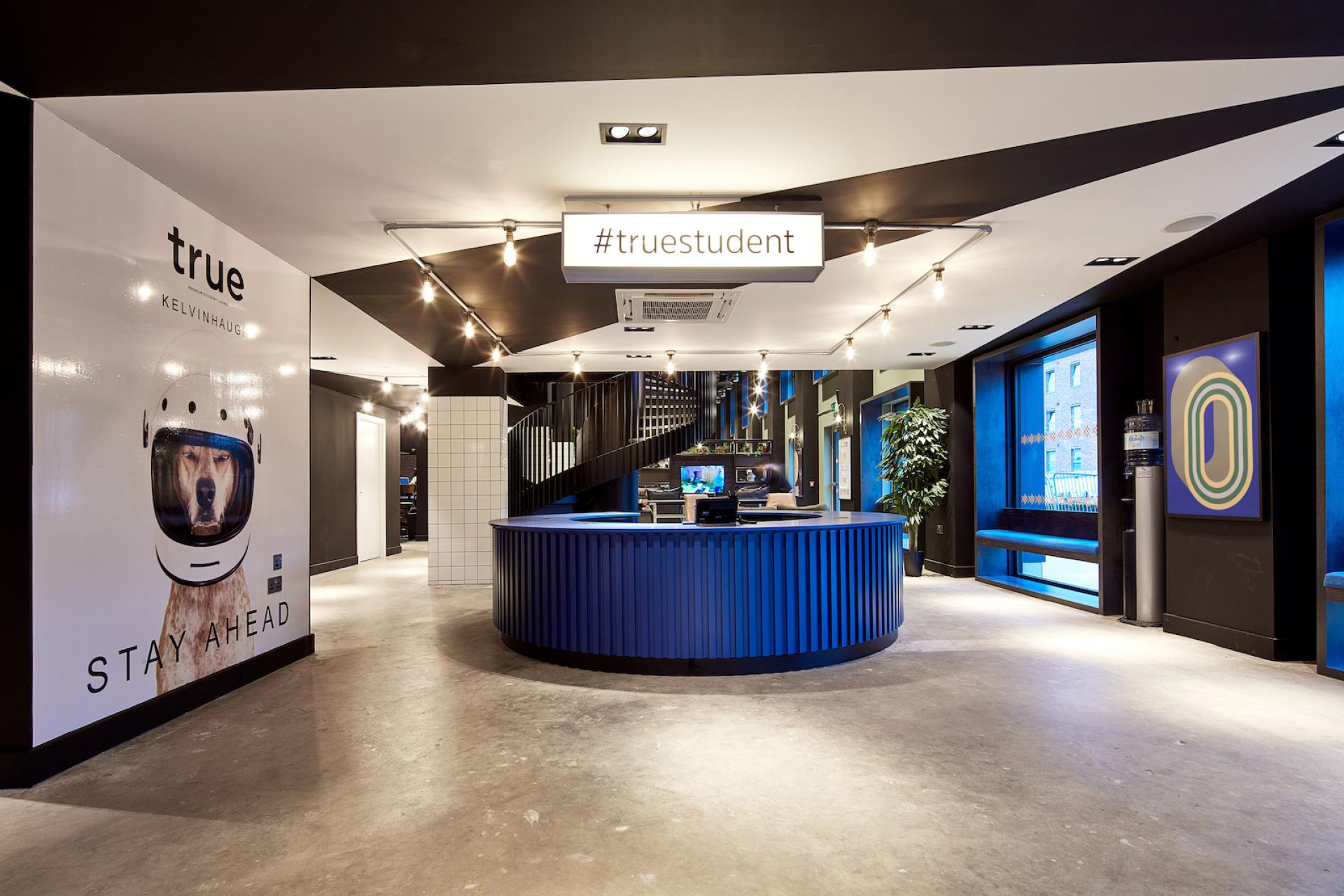Modern reception area with a blue circular desk, creative decor, and a lively atmosphere reflecting Monika Swindells' design philosophy.