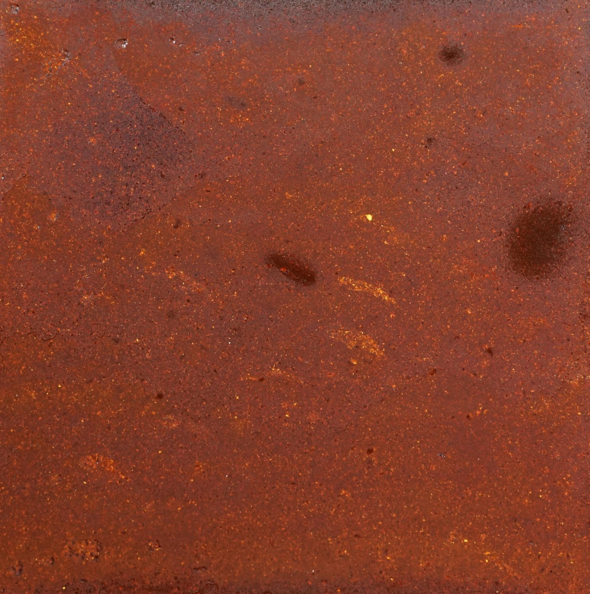 Textured reddish-brown surface highlighting rich organic materials, part of DeakinBio's innovative maker residency program.