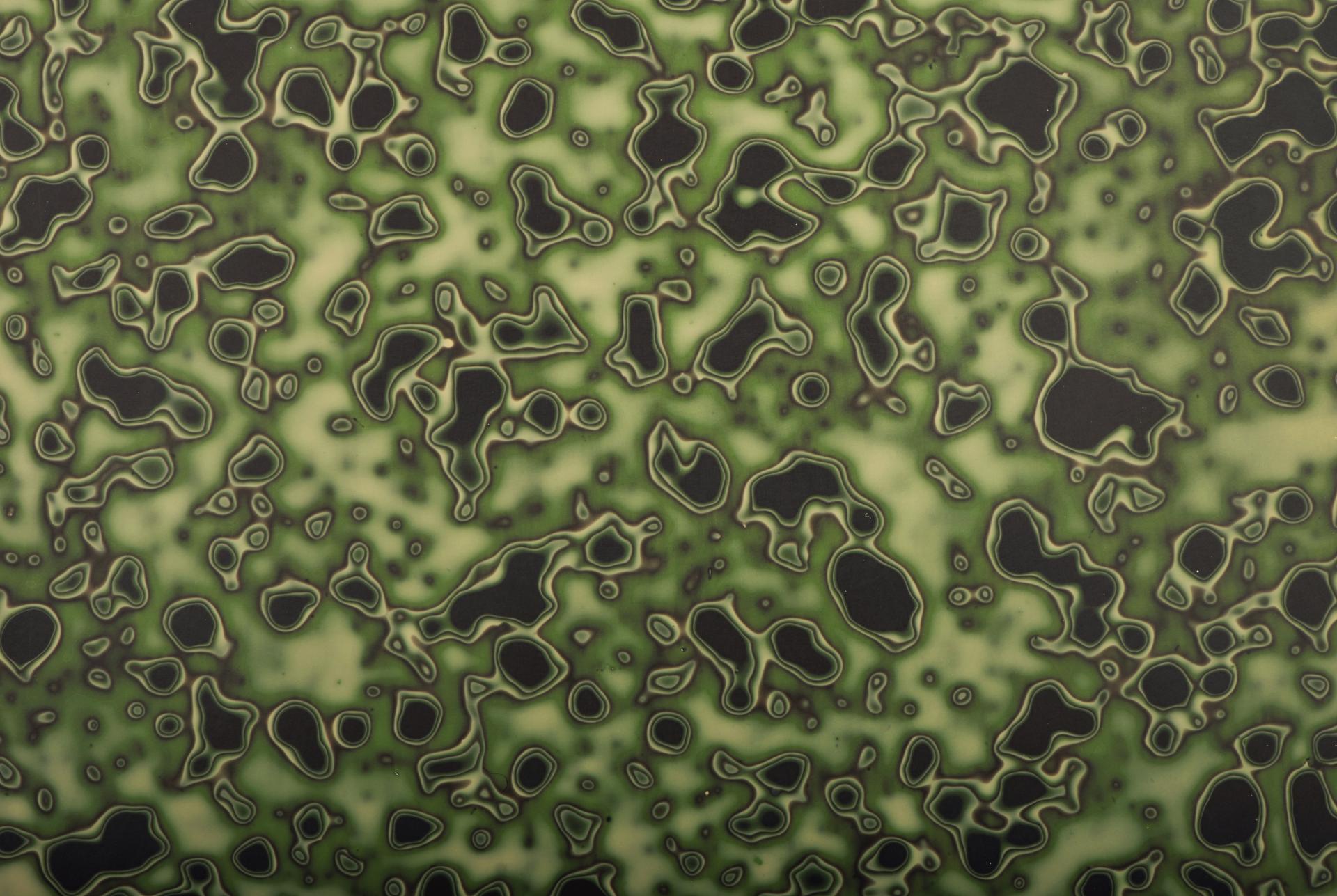 Textured surface design showcasing abstract green and black patterns, reflecting influences from Japanese lacquerware in Mirrl's collection.