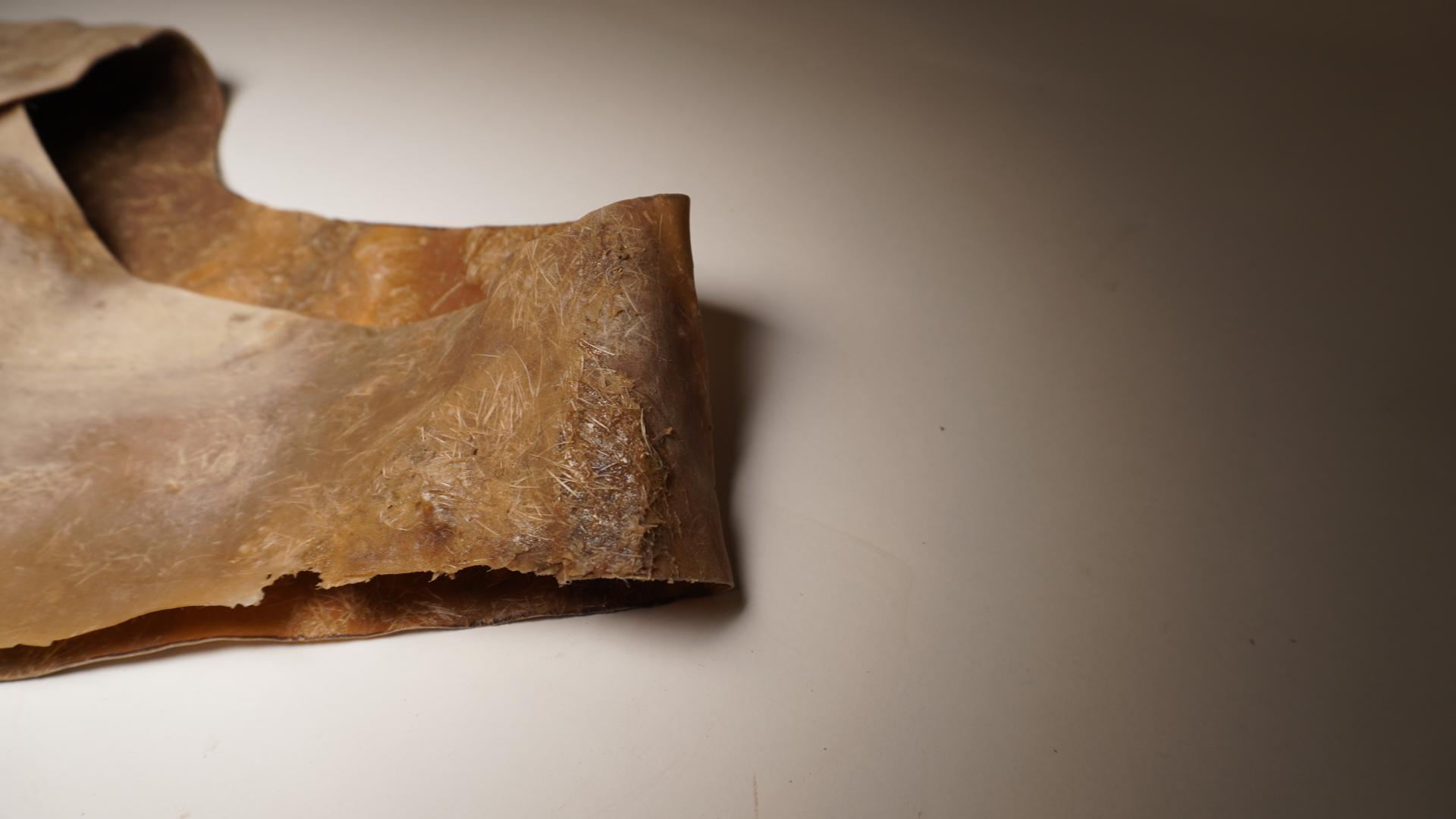 Lola Ben-Alon, assistant professor, Columbia University & director, Natural Materials Lab.