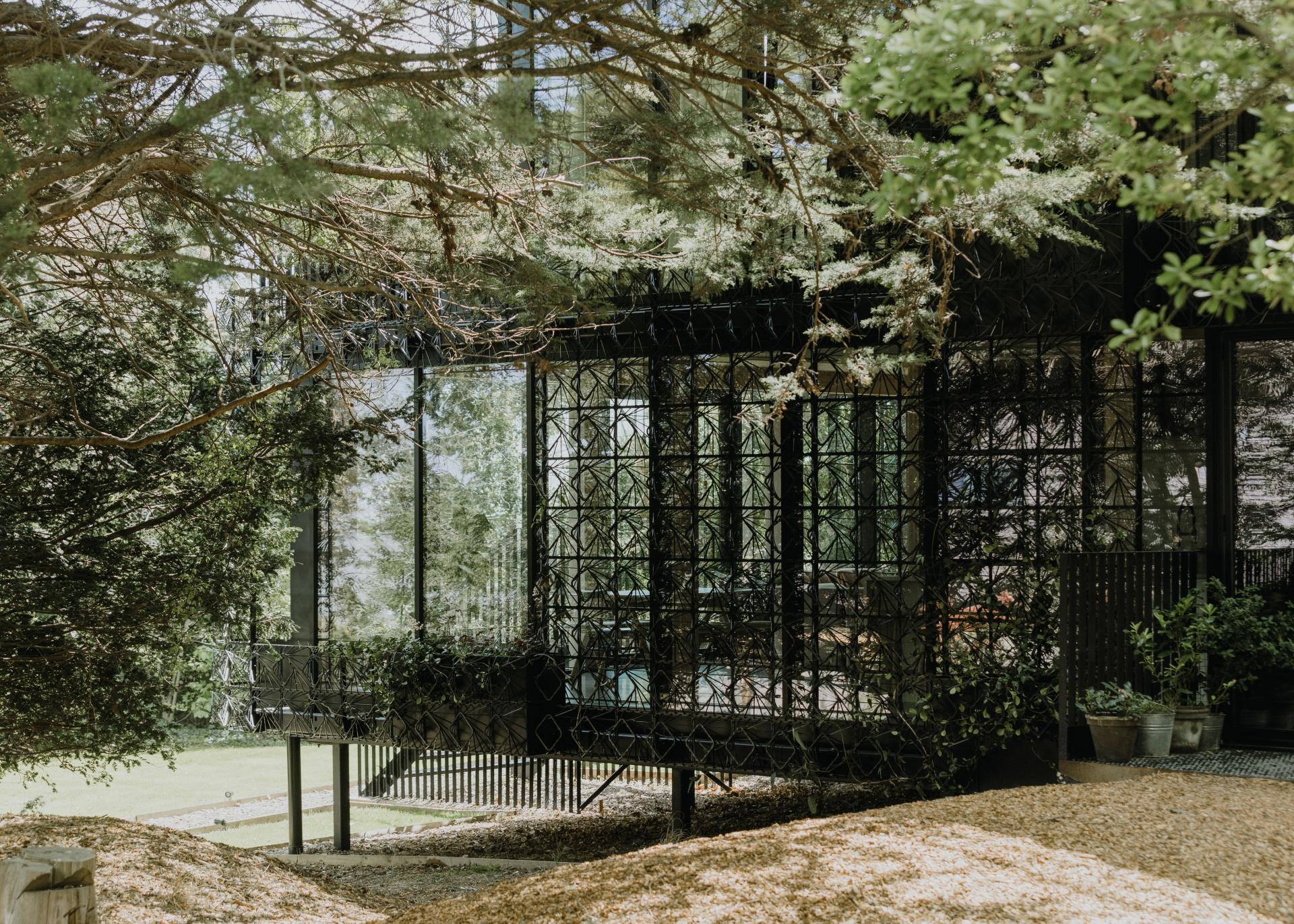 Modern residential project by Giles Miller Studio, showcasing sculptural design integrated with nature and glass elements.