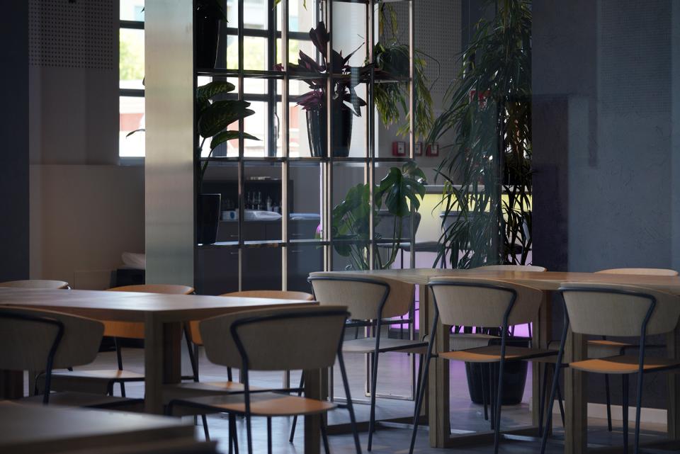 Modern interior of a renovated space in Bergamo, featuring wooden tables, chairs, and indoor plants for a welcoming atmosphere.