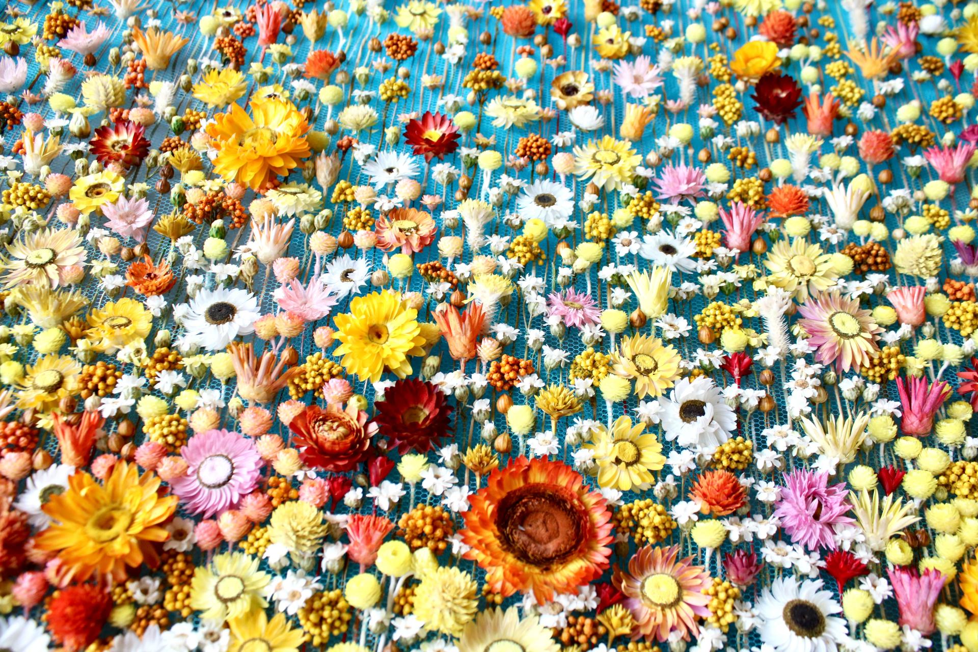 A vibrant arrangement of dried florals featuring various colors and shapes, celebrating craftsmanship for London Craft Week 2024.