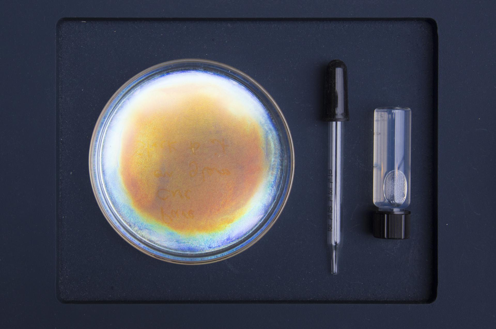 Bio Iridescent Sequin project materials displayed, including a petri dish with shimmering sequins and lab equipment for bio-design.