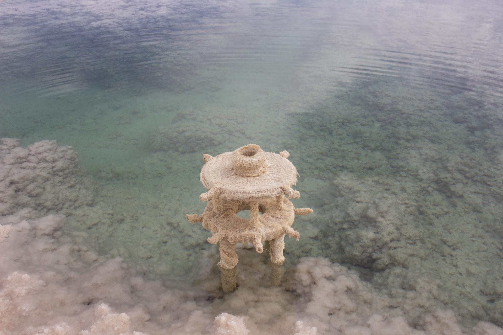 Vegan furniture design showcased in the Dead Sea, emphasizing innovative materials from plants and minerals.