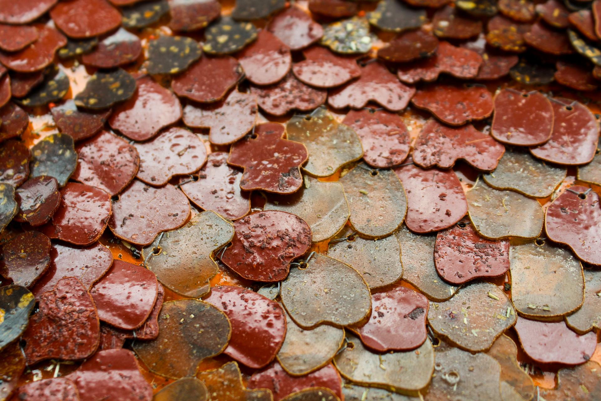 Graduate spotlight: Milly Vine, bio-based textile design.