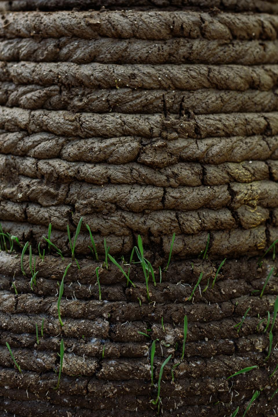 Textured layers of soil featuring emerging green shoots, illustrating innovative 3D printing techniques in construction.