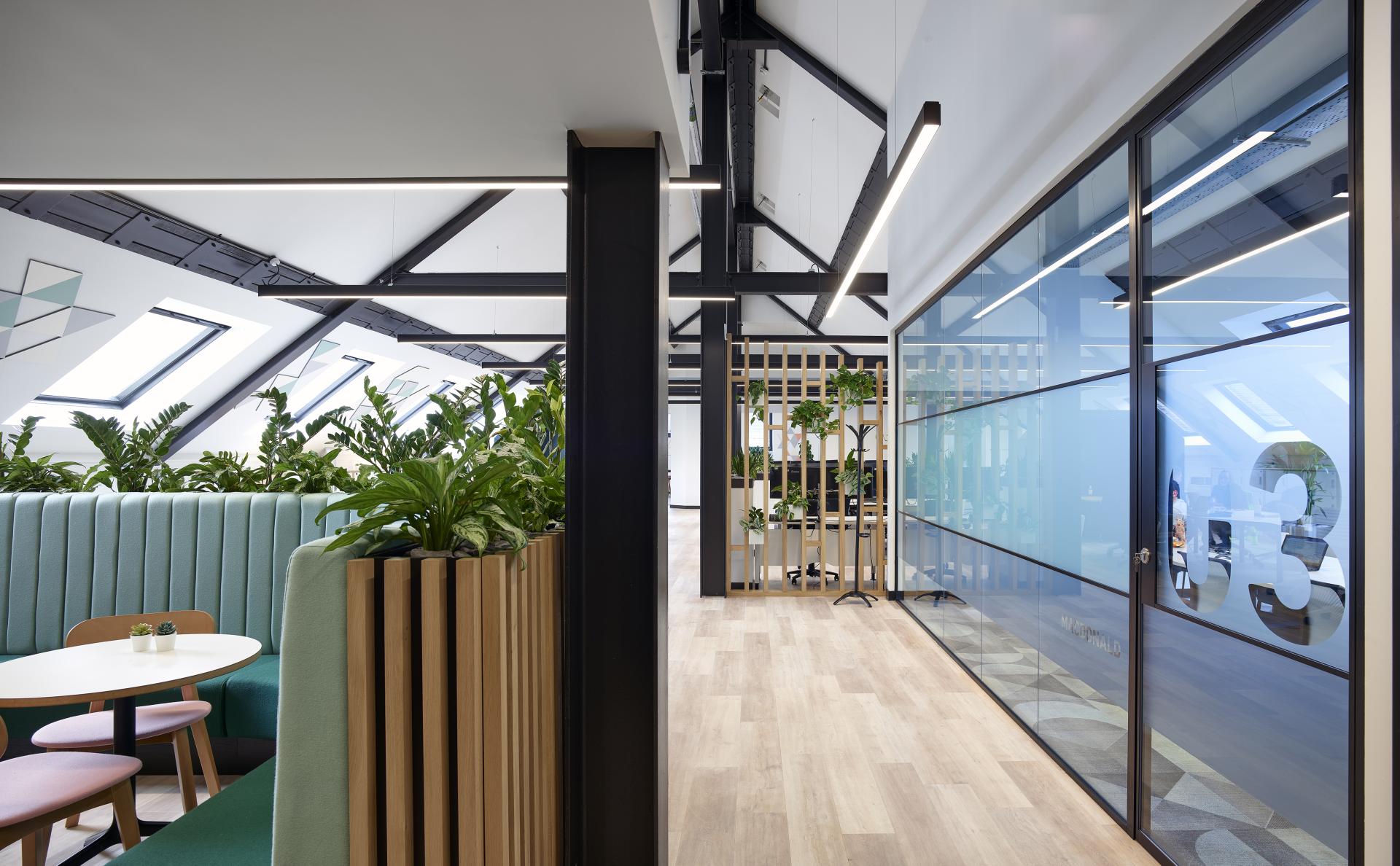 Modern minimalistic office interior featuring greenery, designed for collaborative work and creativity, reflecting Danish design principles.