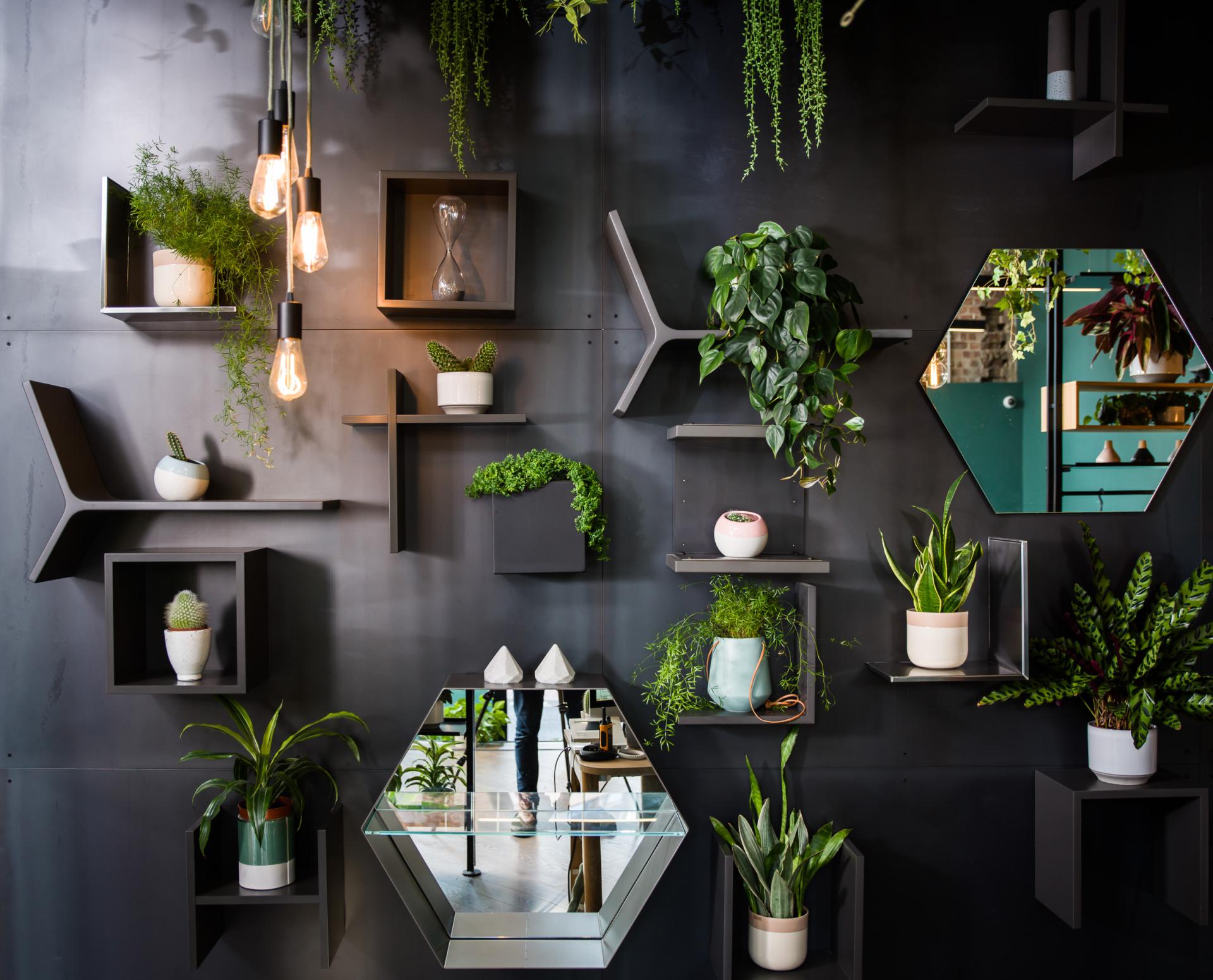 Stylish wall display featuring vibrant indoor plants, modern shelving, and unique lighting, highlighting flexible workplace design.