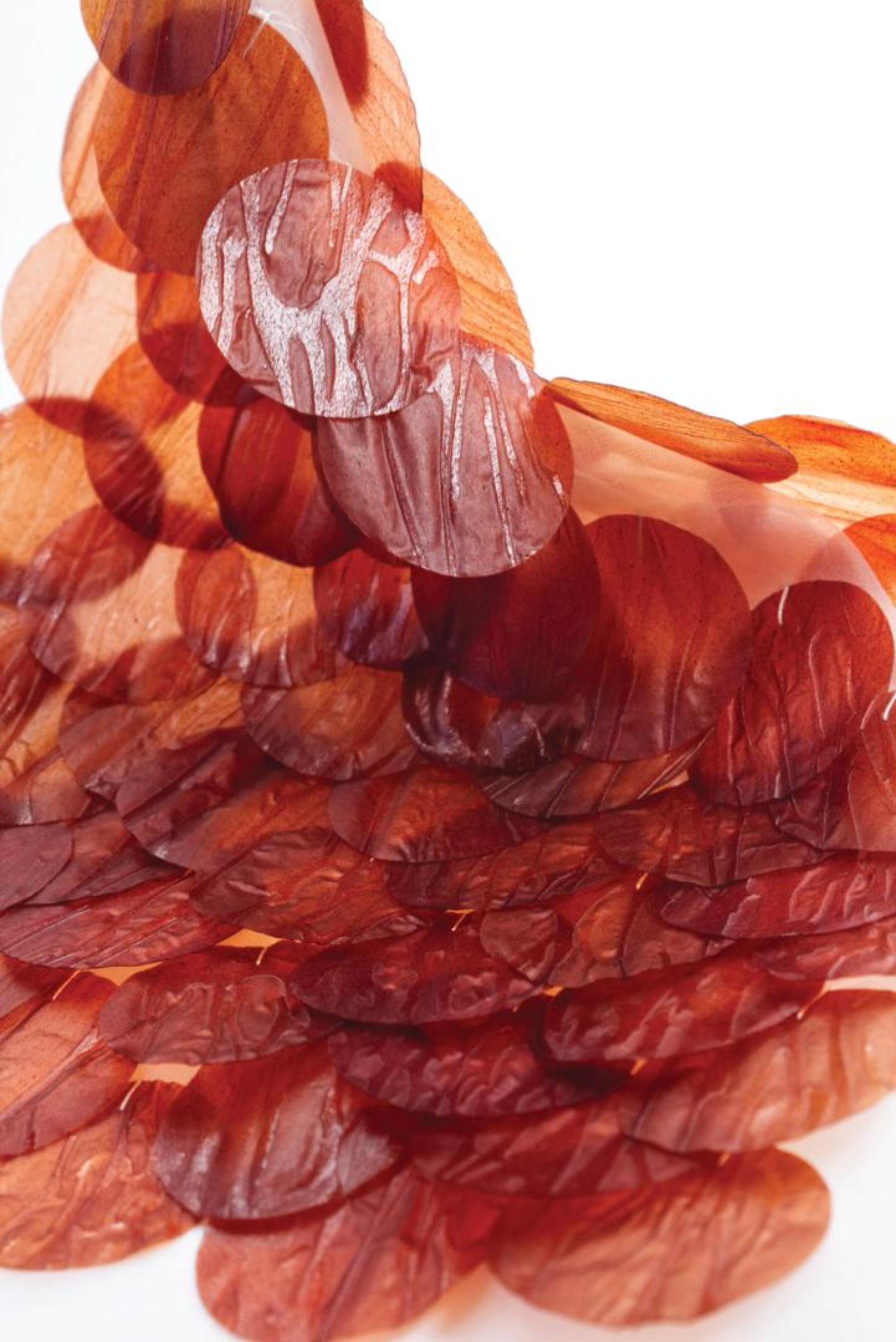 Carolyn Raff on biomaterials, sustainable manufacturing and baking sequins.